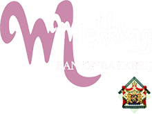 Logo Mekking wit klein2